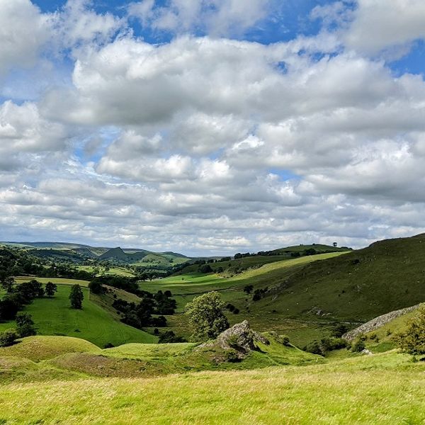 Mindfulness and Nature Connection Walk
