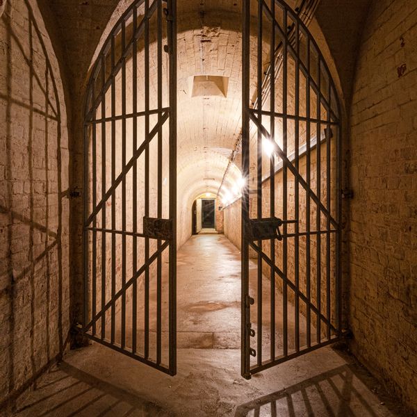 _85A6763 - Copy low pixels.jpg