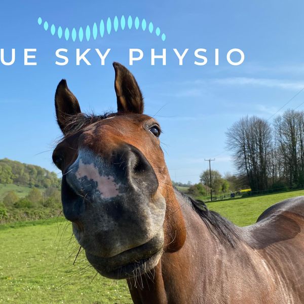 blue sky physio.jpg