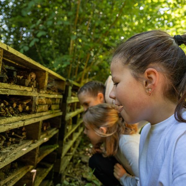 Wild Survivors activity 1