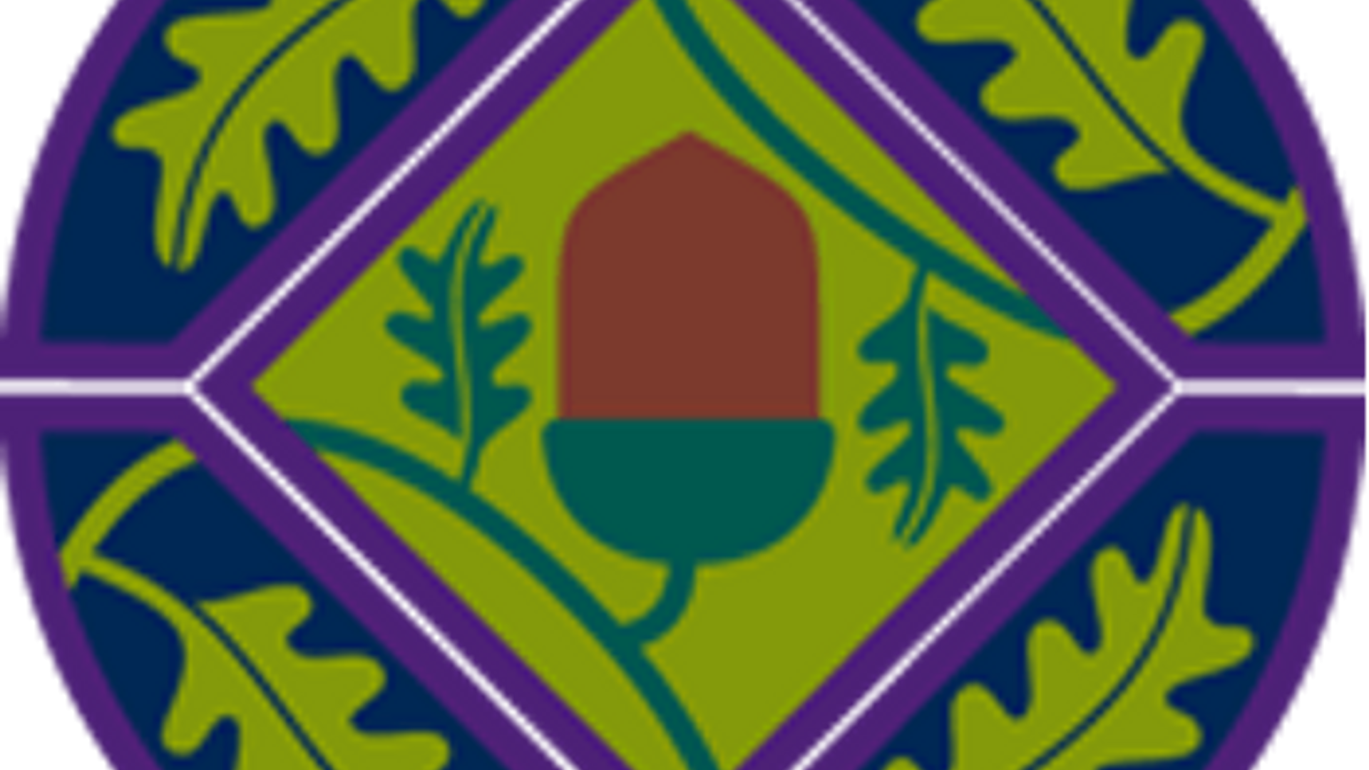Green Young Leader