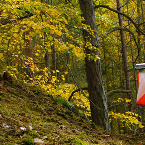 Introducing Orienteering