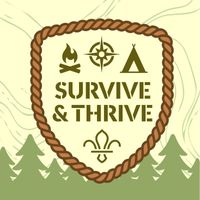 Cinolla thumbnails (3).jpg