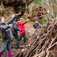 do-bonfire-branch-gathering-7-jpg.jpg