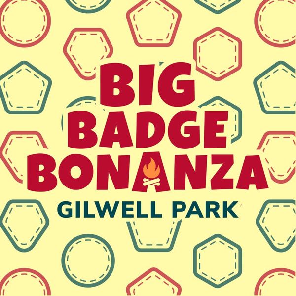 Cinolla thumbnails (2).jpg