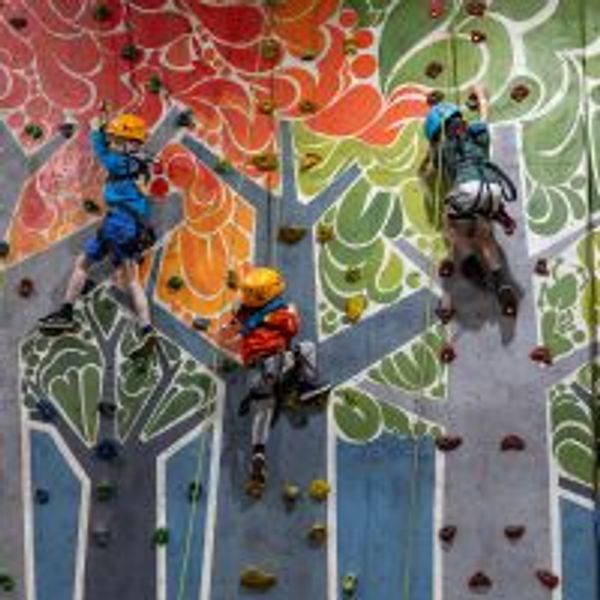 Cinolla Thumbnail Fundays.jpg