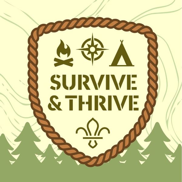 Cinolla thumbnails (3).jpg