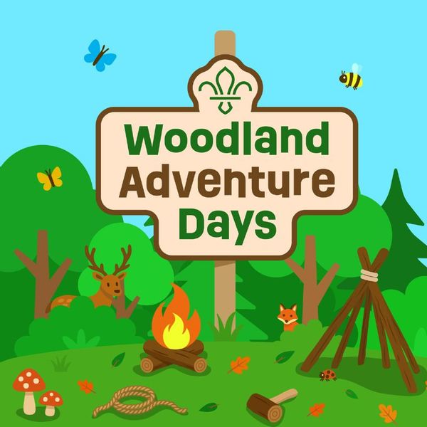 Cinolla thumbnails (7).jpg