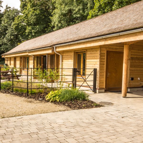 Woodlands Banner.jpg