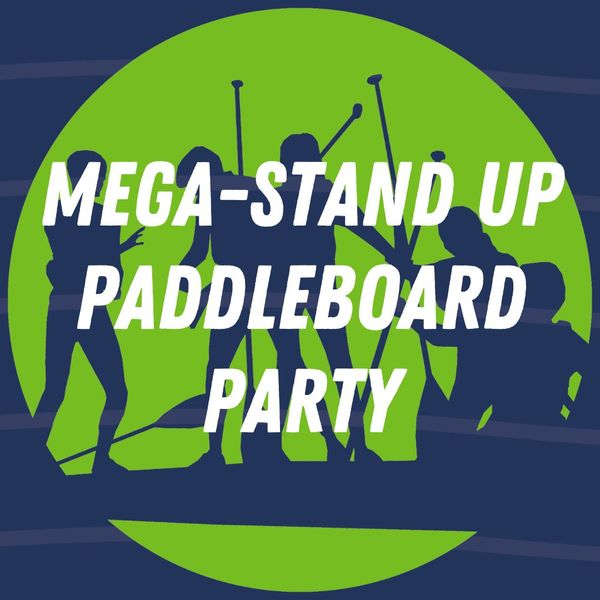 Cinolla Buttons (9).jpg