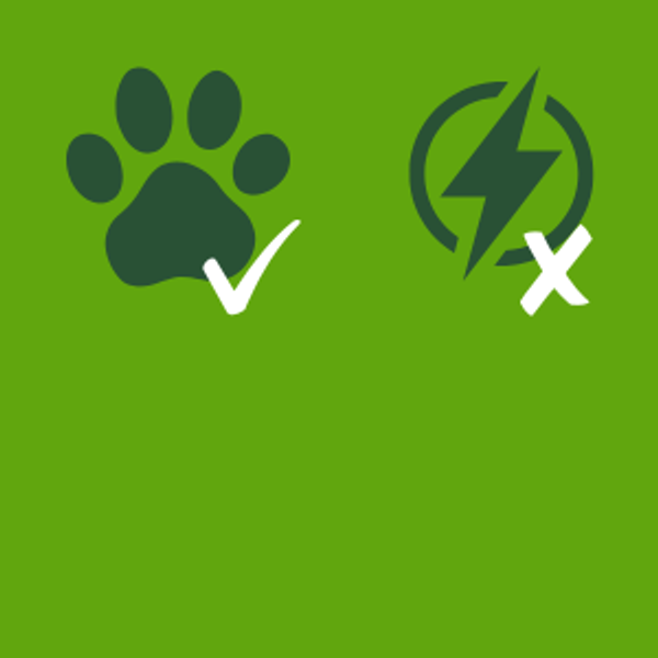 camping no electric no dogs.png