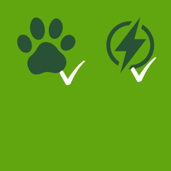 Camping electric dogs.png