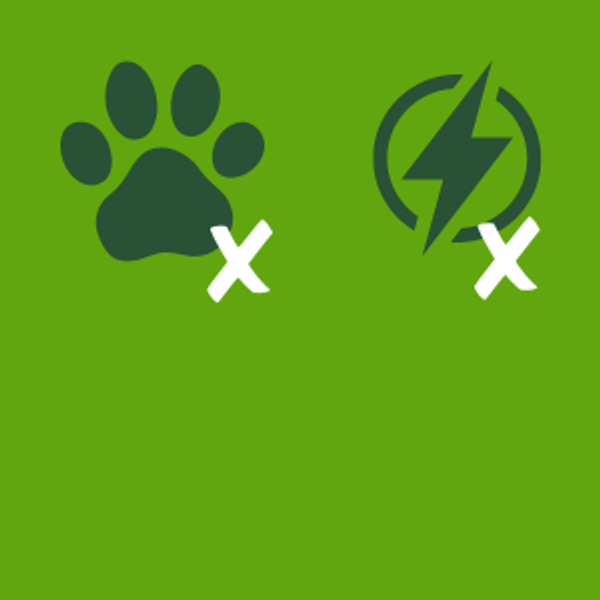 Motorhome, no electric no dogs.png