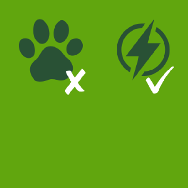 Camping, electric no dogs.png