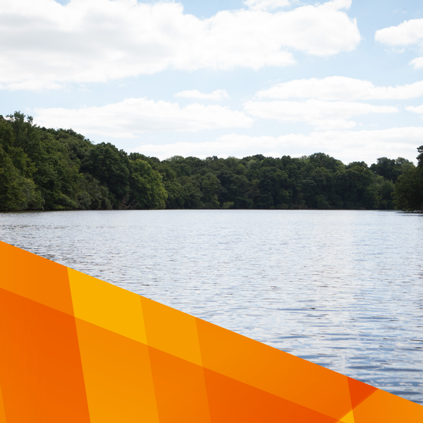 Untitled design (10).png