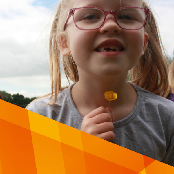 cinolla image sizes (11).png