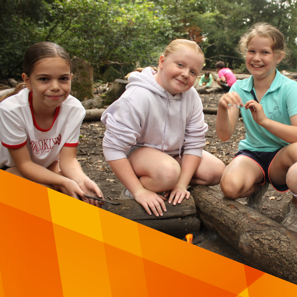 Untitled design (5).png