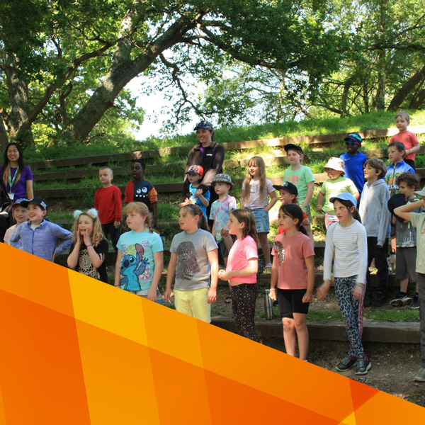 cinolla image sizes (9).png